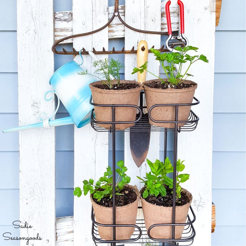 28 Charming Cottagecore Herb Plant Ideas