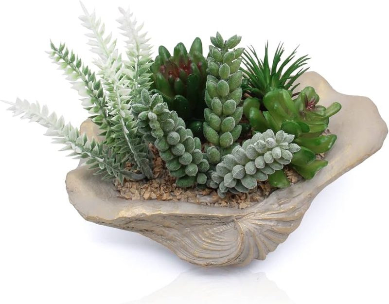 30 Coastal Seashell & Succulent Decor Ideas