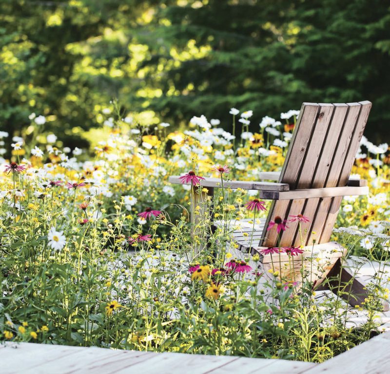 Alpine Meadow Wildflower Styling Ideas for Your Home