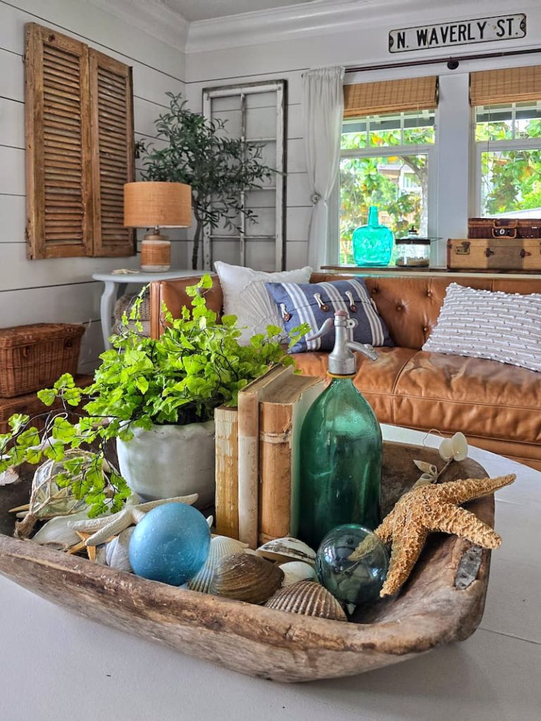 Coastal Charm: Driftwood & Sea Glass Plant Styling