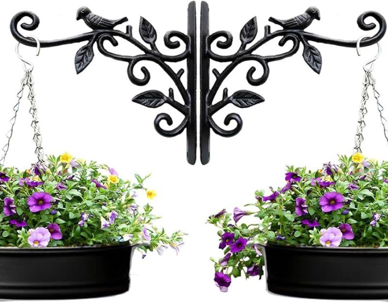 Gothic Ironwork Plant Hangers: Enchant Your Space