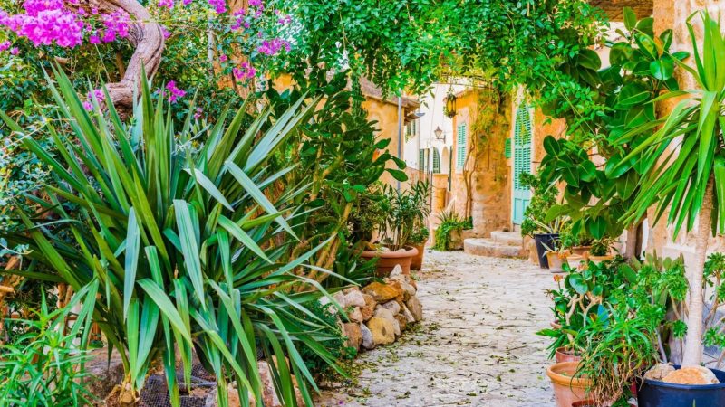 Transform Your Garden with Cretan Mosaic Tile Wraps
