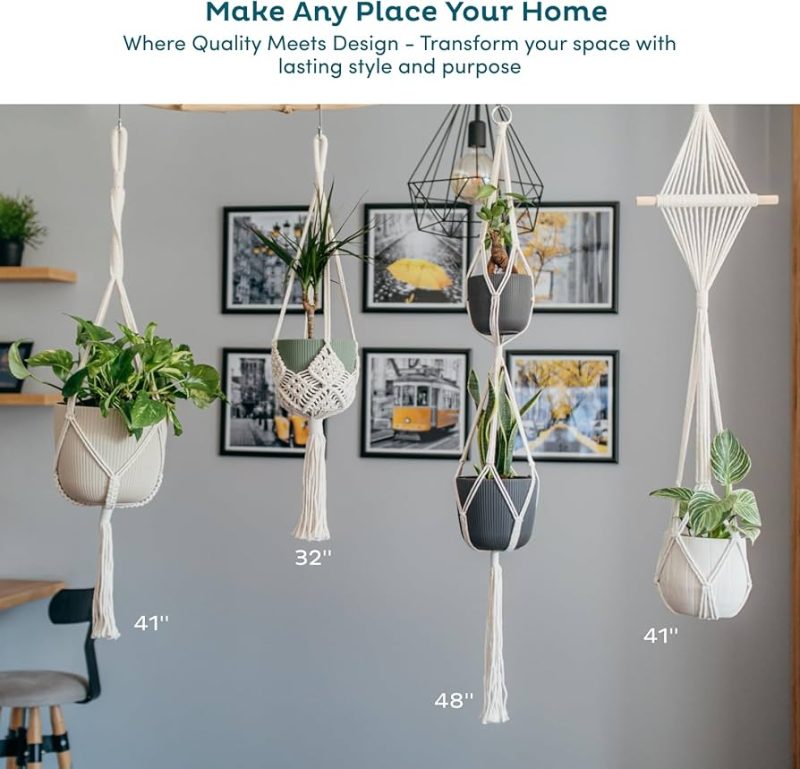 Transform Your Home with Boho Plant Hangers