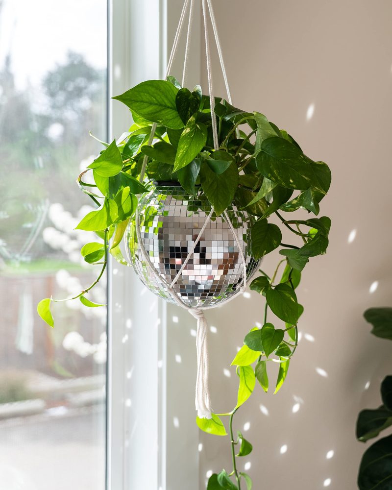 Transform Your Home with Disco Ball Plant Hangers