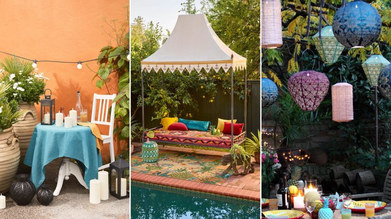 Transform Your Home with Jewel-Toned Moroccan Plants