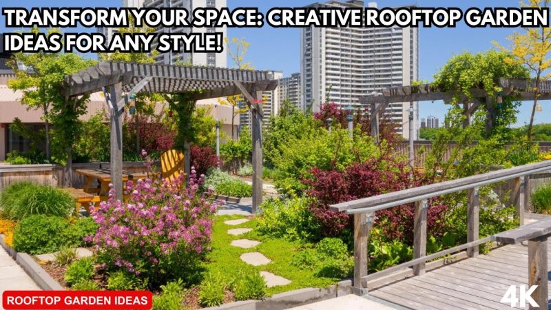 Transform Your Rooftop with Creative Garden Tips