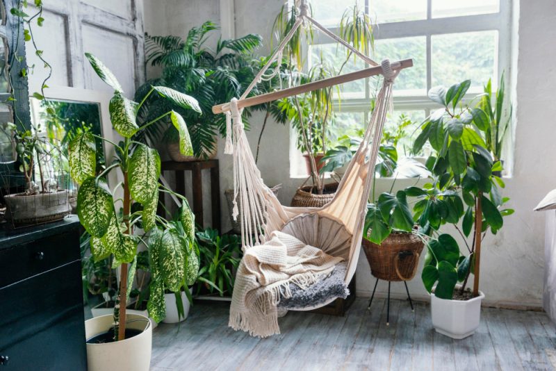 Transform Your Space with Kaleidoscope Plant Styling