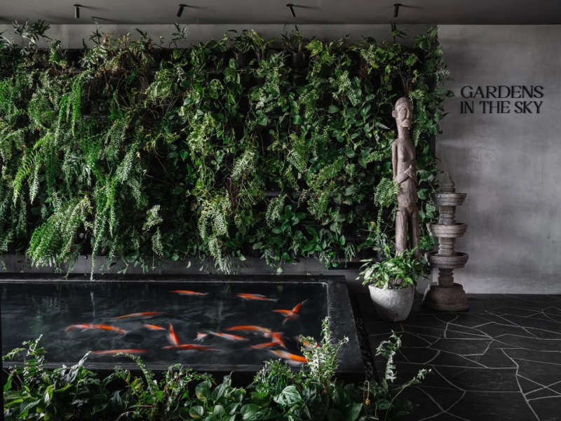 Transform Your Space with Koi Pond-Inspired Displays