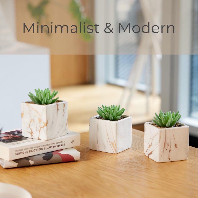 Transform Your Space with Marble Vein Plant Pots