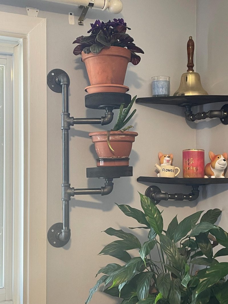 Transform Your Space with Steampunk Plant Displays