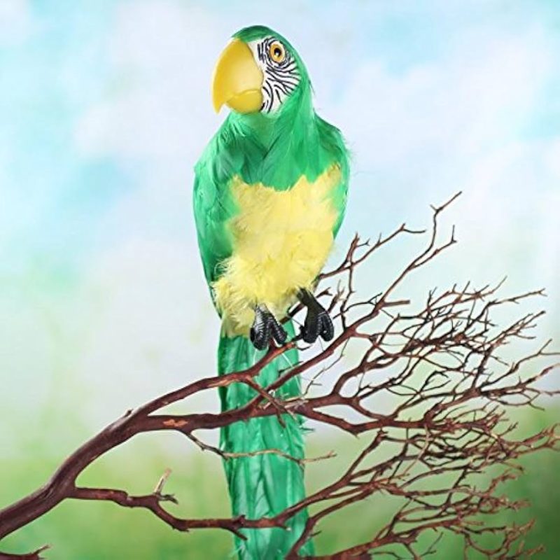 Transform Your Space with Tropical Parrot Feathers